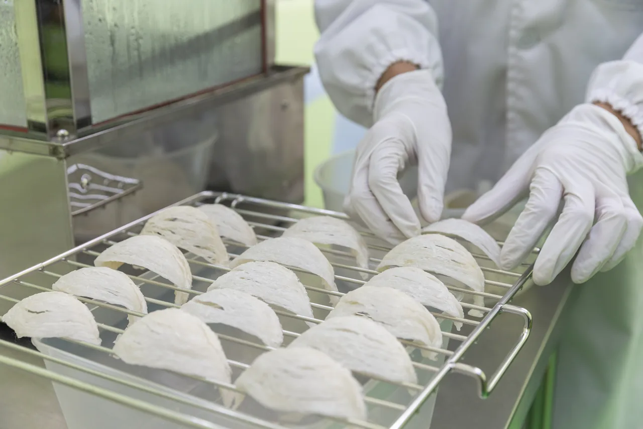 Gloved hands arranging prepared bird’s nests on trays