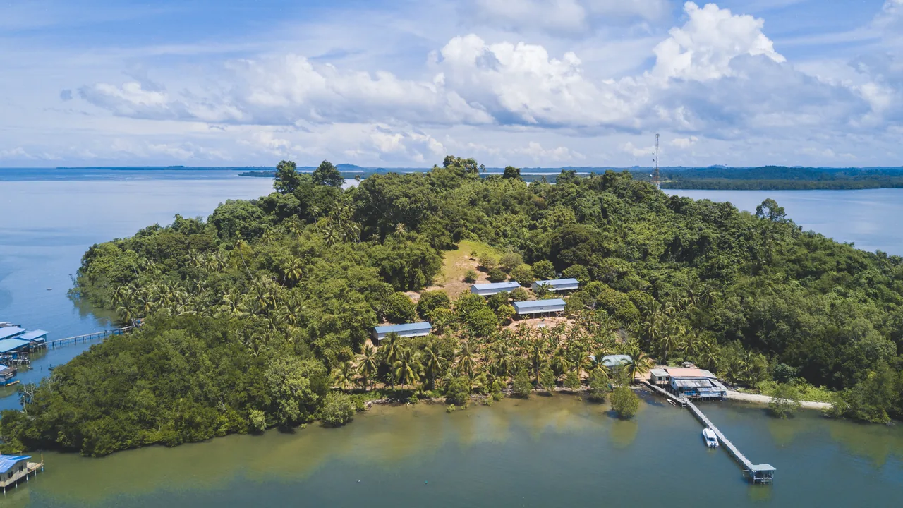 Swiftlet houses among tropical trees on an island